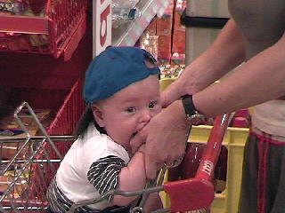 298x217 pixels (19K)