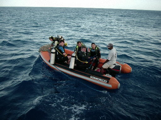 490x361 pixels (47K)