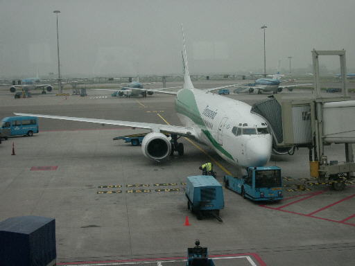 490x361 pixels (25K)