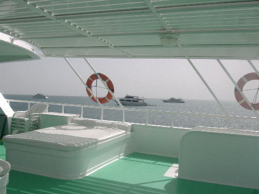 490x361 pixels (27K)