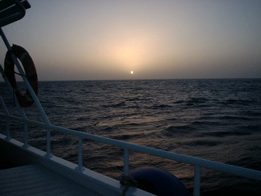 490x361 pixels (25K)