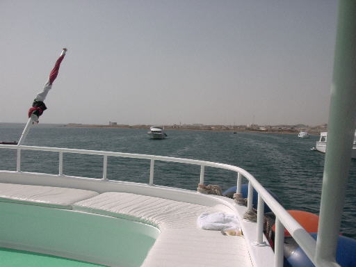 490x361 pixels (22K)