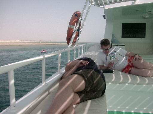 490x361 pixels (28K)