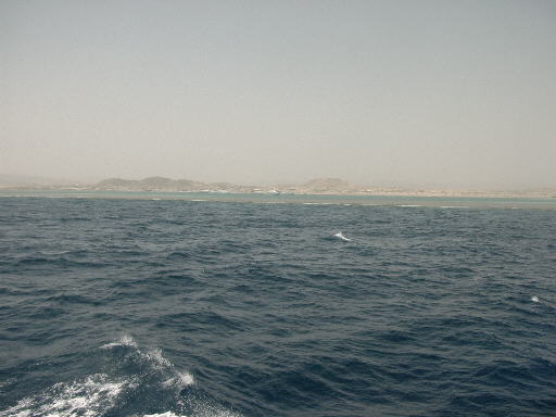 490x361 pixels (26K)