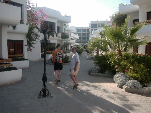 490x361 pixels (40K)