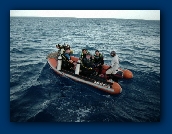 U-Lead Systems, Inc.�