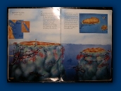 U-Lead Systems, Inc.�