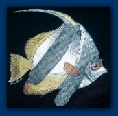 U-Lead Systems, Inc.�