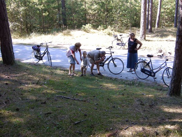 618x457 pixels (105K)