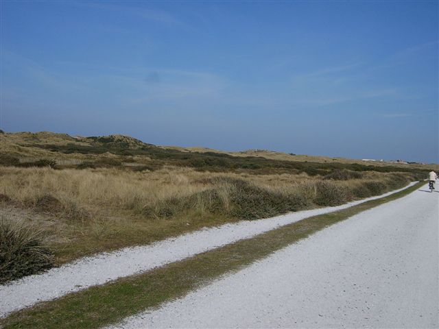 618x457 pixels (46K)