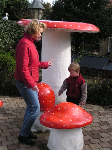 338x457 pixels (42K)