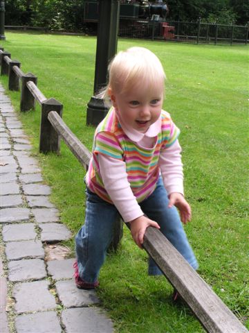 338x457 pixels (48K)