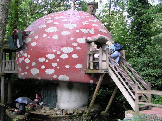 618x457 pixels (93K)