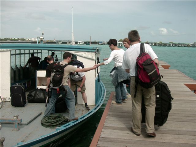 618x457 pixels (57K)