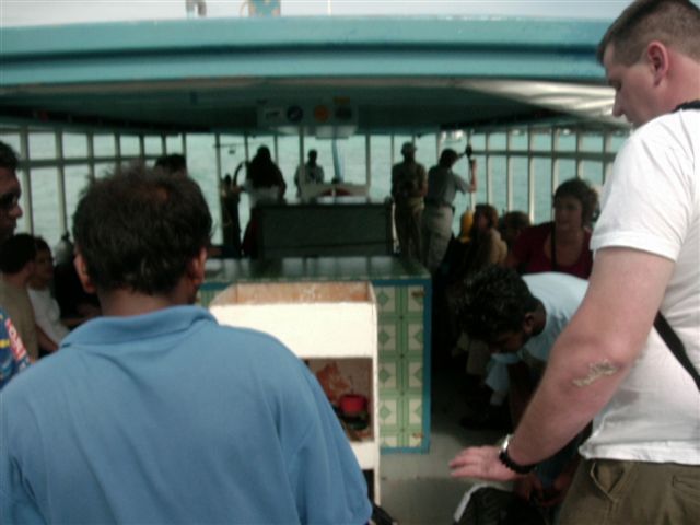 618x457 pixels (47K)