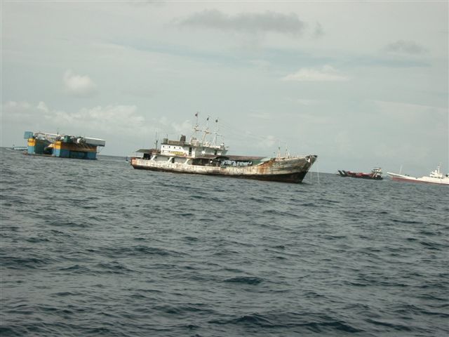 618x457 pixels (51K)