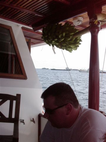 338x457 pixels (32K)