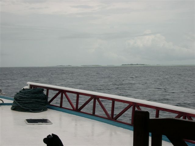 618x457 pixels (40K)