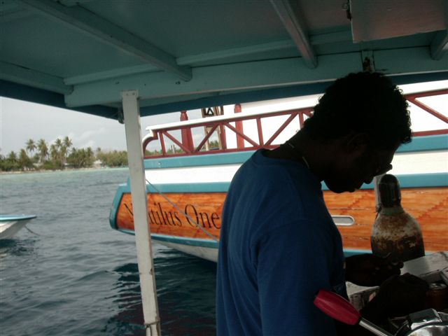 618x457 pixels (50K)