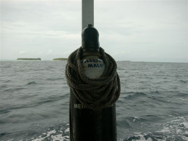 618x457 pixels (43K)