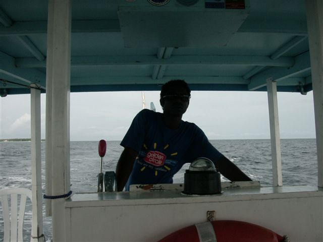 618x457 pixels (41K)