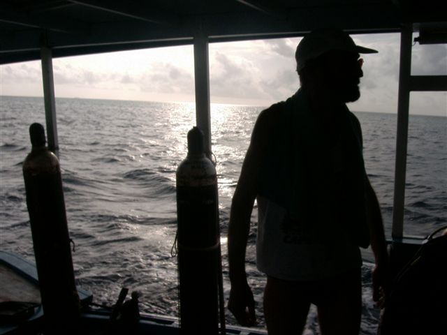 618x457 pixels (45K)