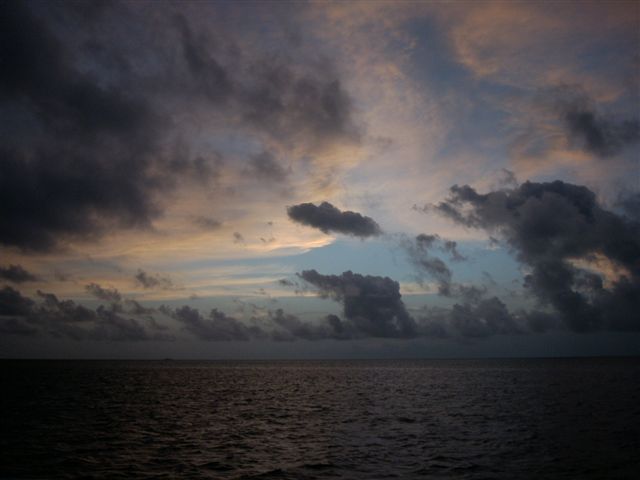 618x457 pixels (36K)