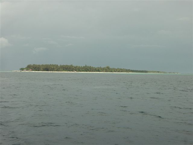 618x457 pixels (28K)