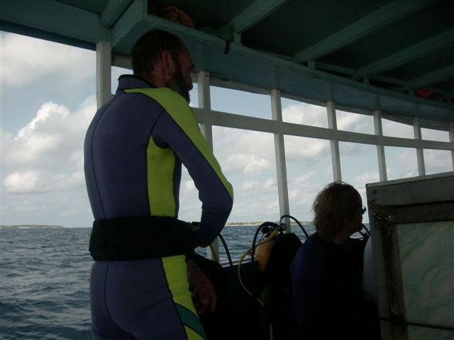 618x457 pixels (41K)