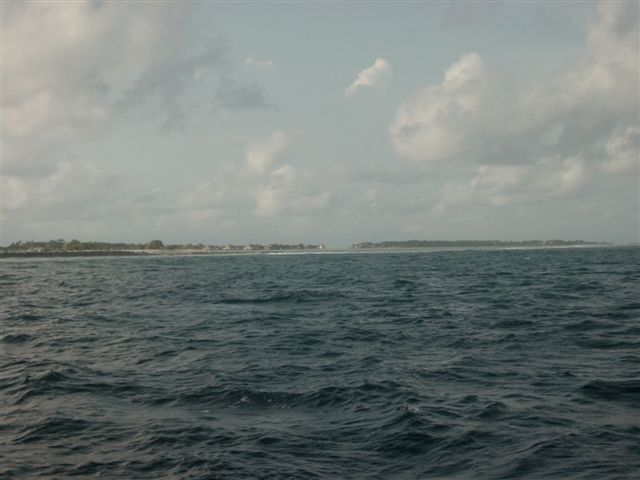 618x457 pixels (43K)