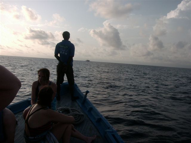 618x457 pixels (46K)