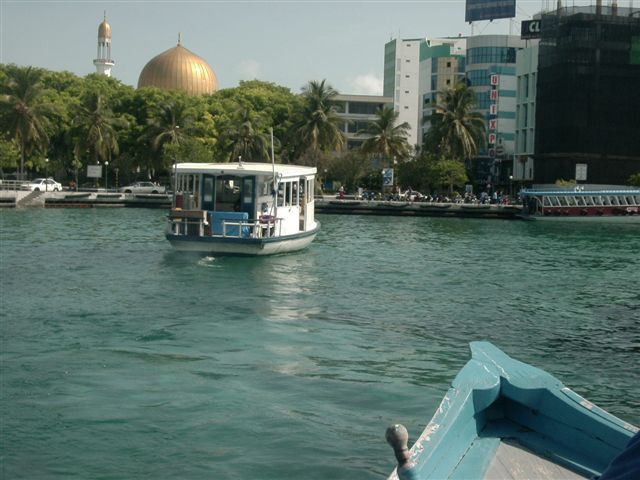 618x457 pixels (63K)