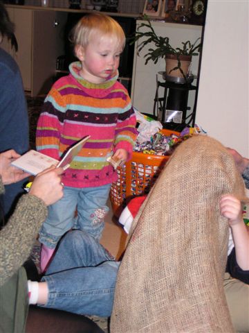 338x457 pixels (44K)