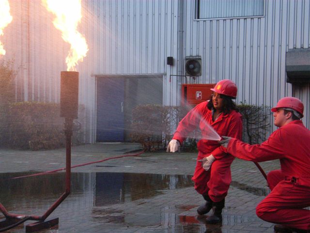 618x457 pixels (57K)