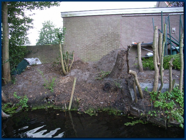 600x449 pixels (172K)