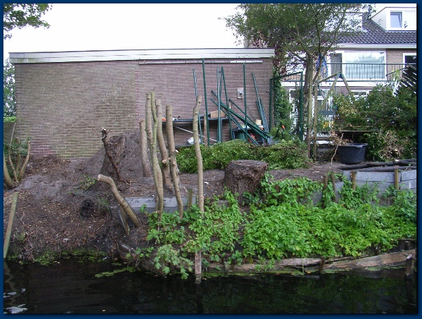 600x449 pixels (174K)