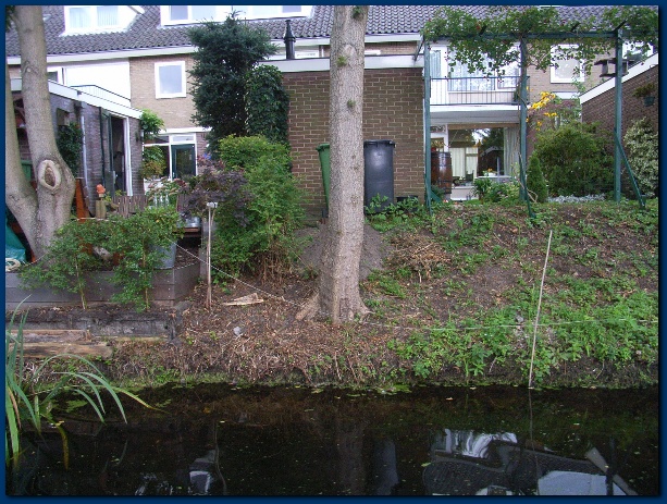 600x449 pixels (186K)