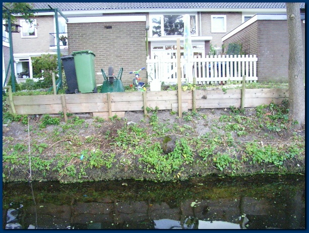 600x449 pixels (180K)