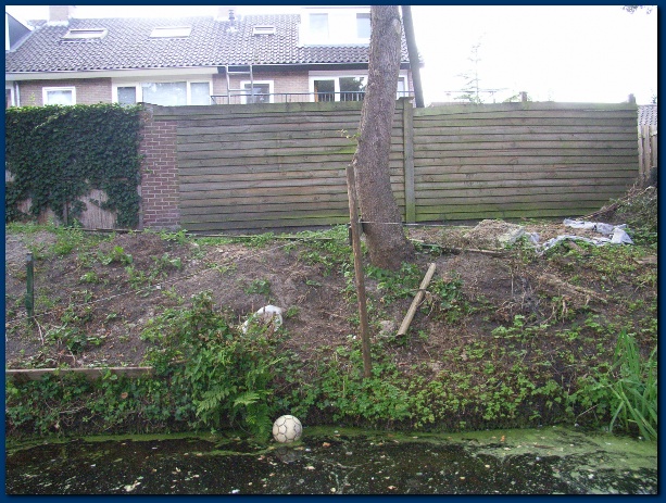 600x449 pixels (174K)