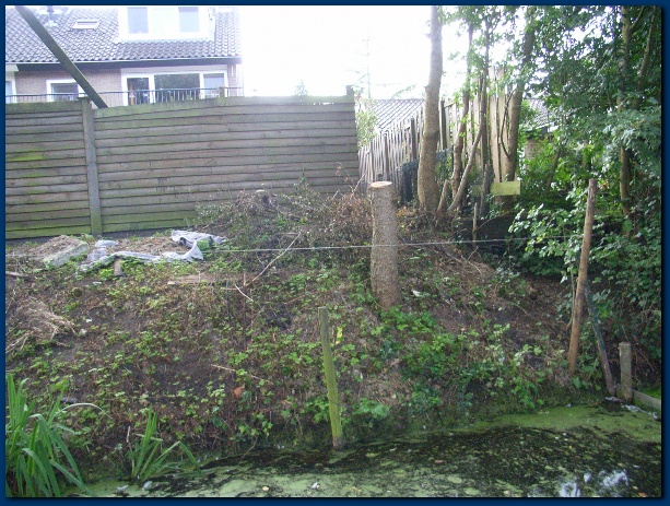 600x449 pixels (183K)