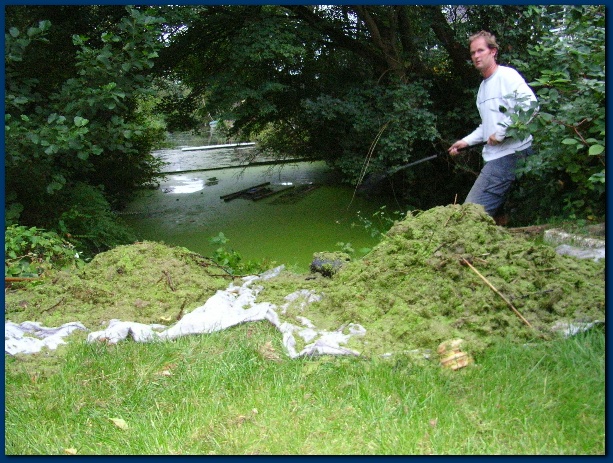 600x449 pixels (181K)