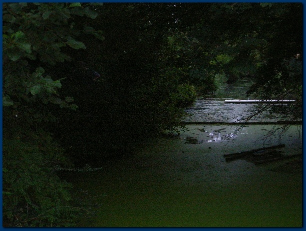 600x449 pixels (130K)