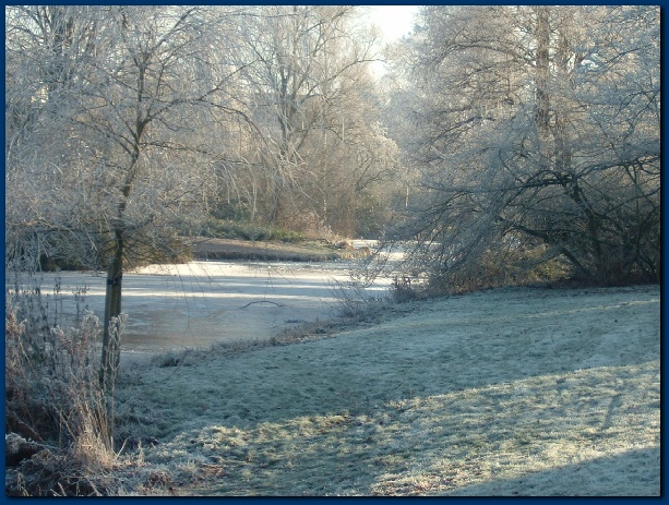 600x449 pixels (173K)