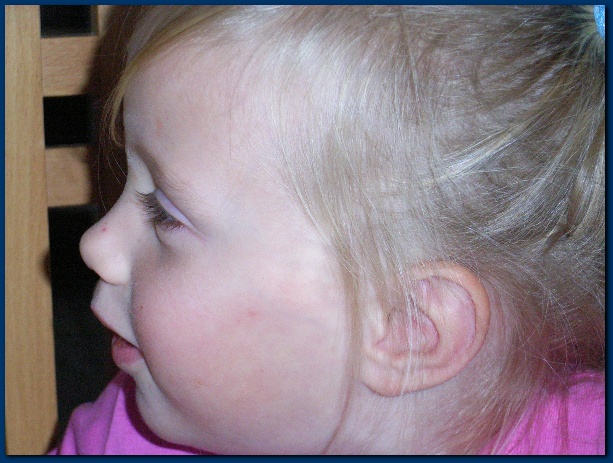 600x449 pixels (126K)