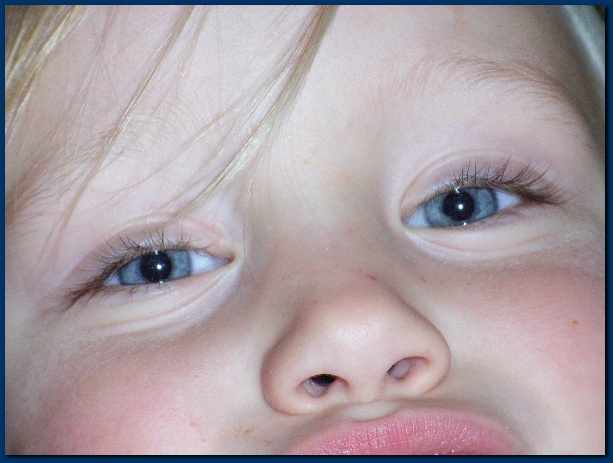 600x449 pixels (103K)