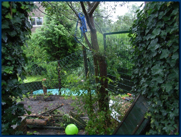 600x449 pixels (189K)