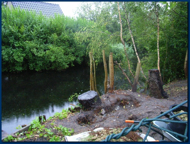 600x449 pixels (189K)