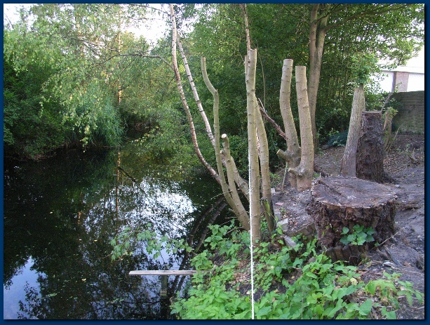 600x449 pixels (204K)