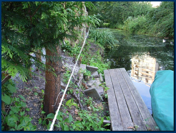 600x449 pixels (198K)