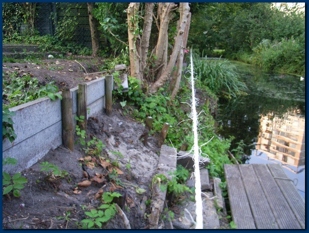 600x449 pixels (178K)